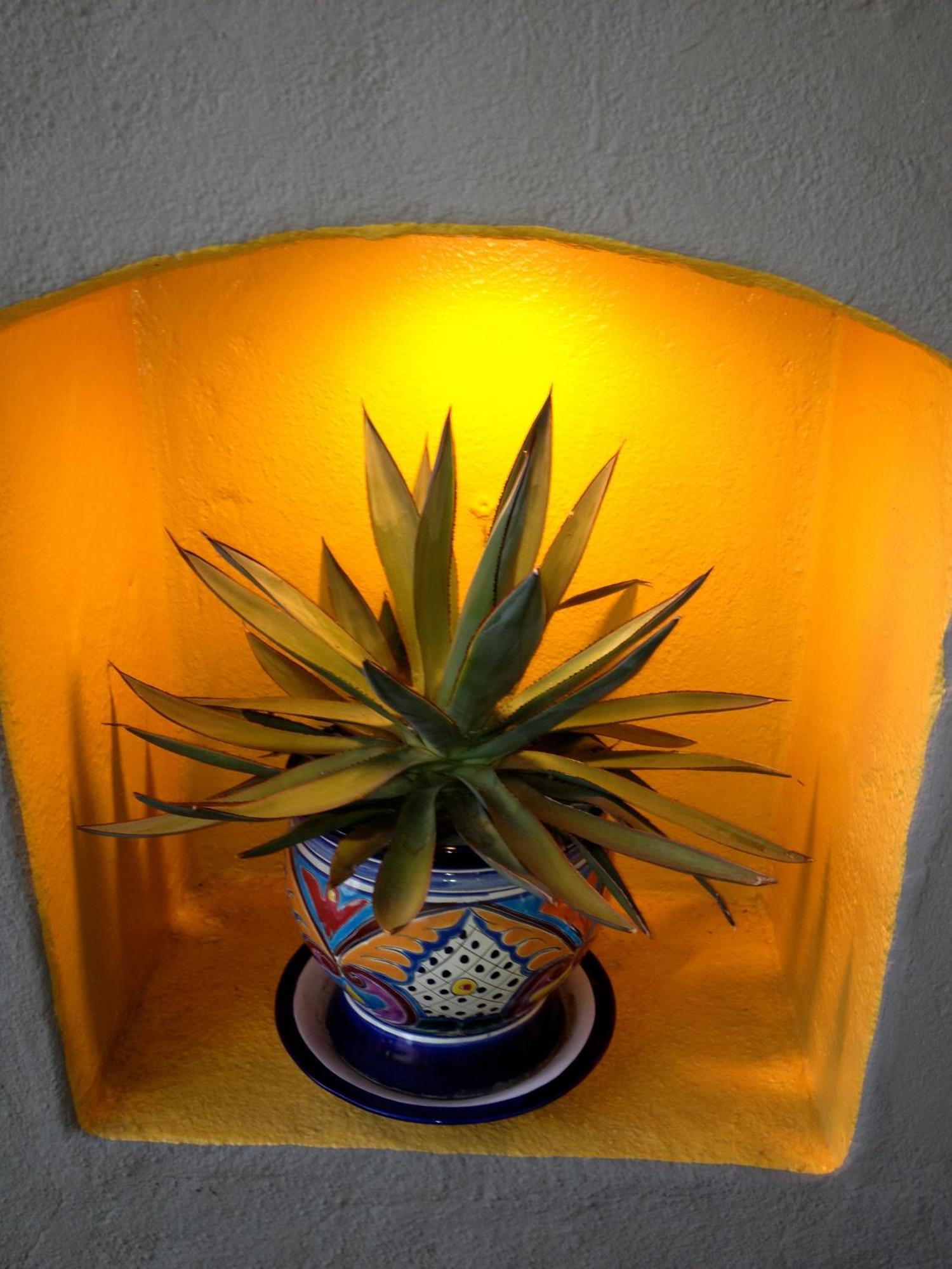 Agave Inn Santa Barbara Buitenkant foto